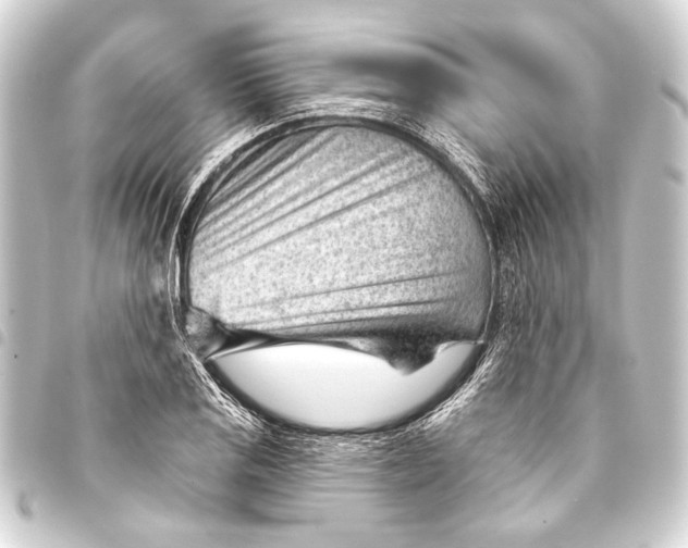 X0000093421125200711021009