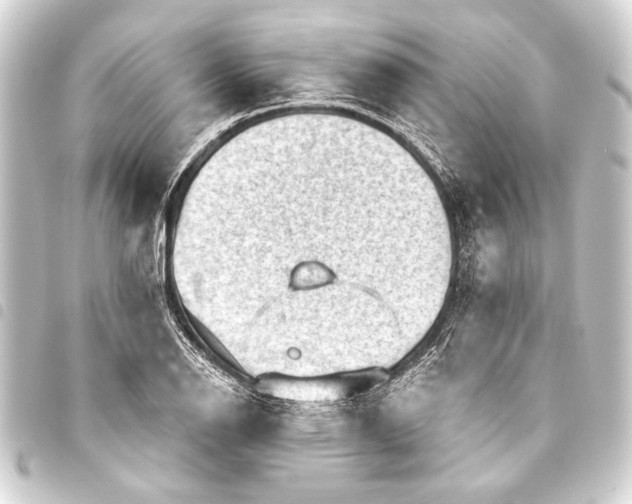 X0000093421126200711021009