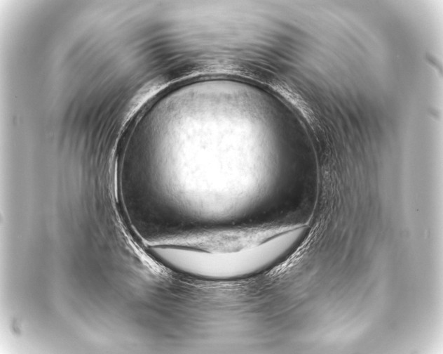 X0000093421127200711021009