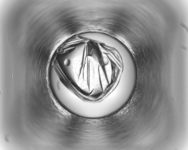 X0000093421128200711021009