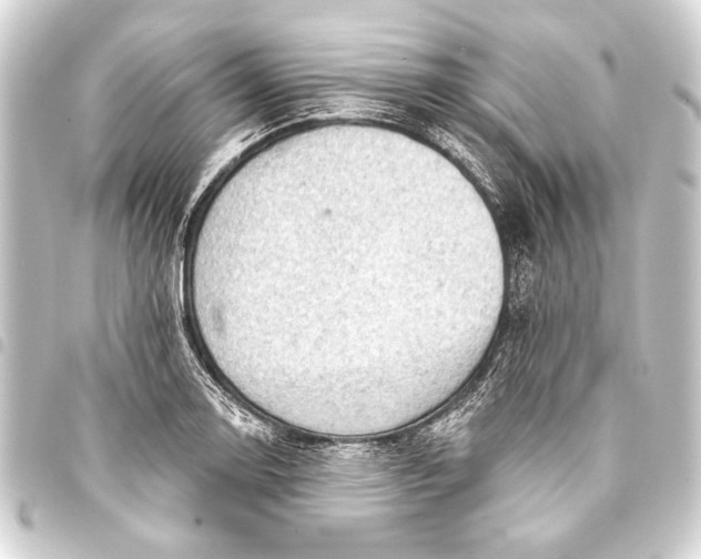 X0000093421130200711021010