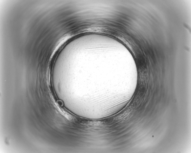 X0000093421131200711021010