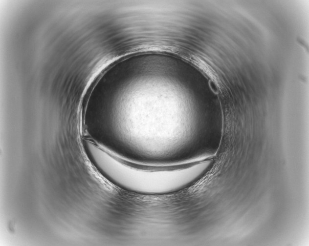 X0000093421132200711021010