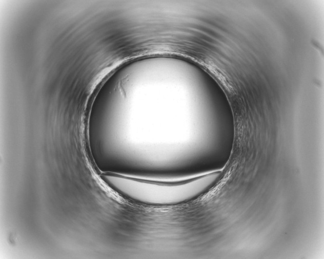 X0000093421134200711021010