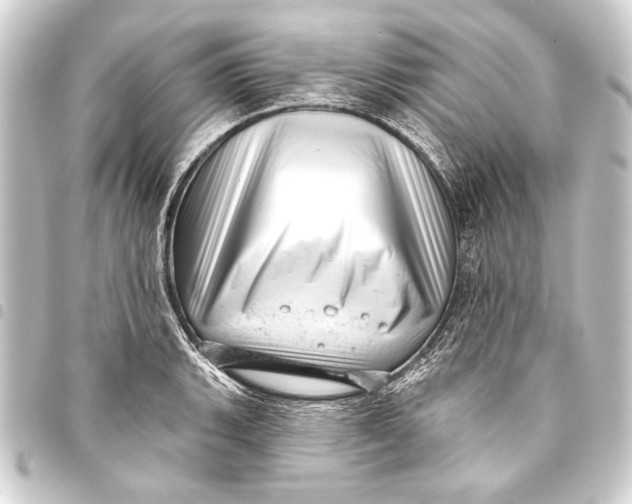 X0000093421135200711021010