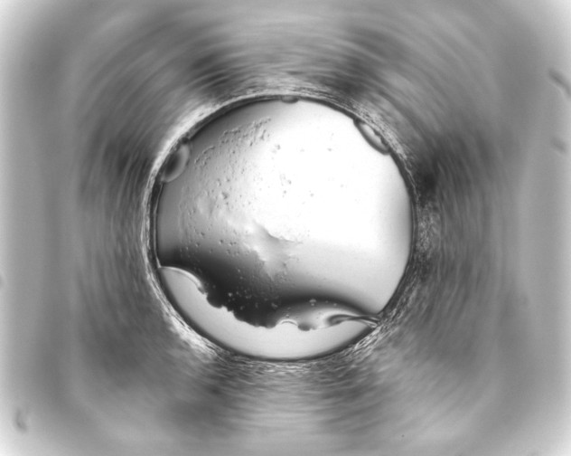 X0000093421136200711021010