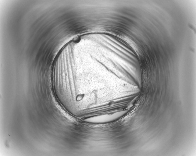 X0000093421142200711021010