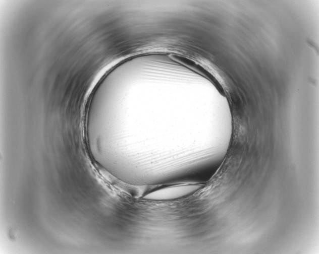 X0000093421148200711021010