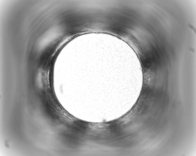 X0000093421150200711021010