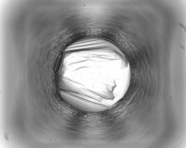 X0000093421153200711021009