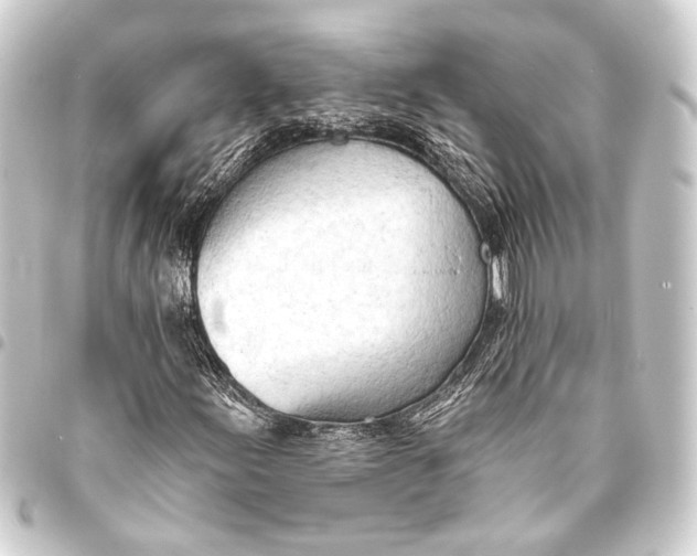 X0000093421155200711021009