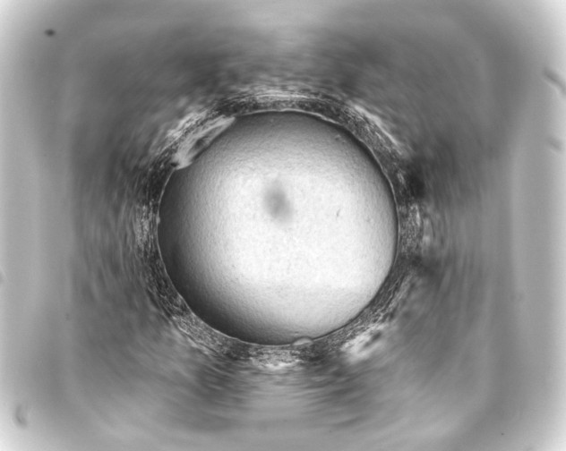 X0000093421157200711021009