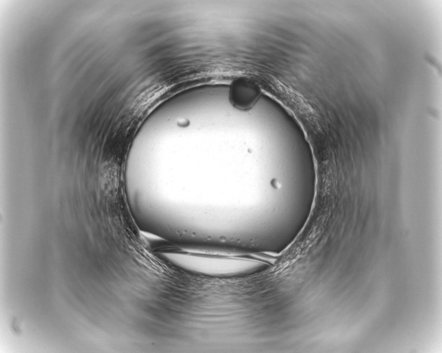 X0000093421169200711021009