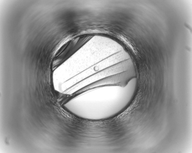 X0000093421173200711021009