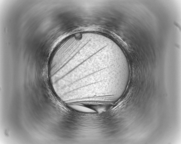 X0000093421174200711021009