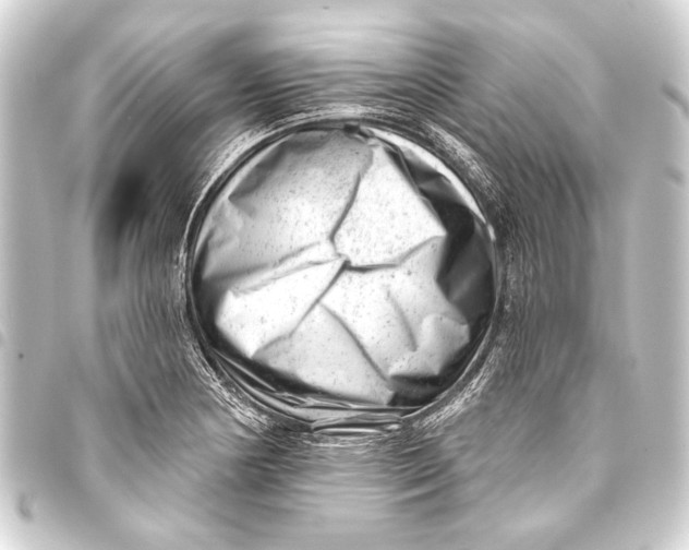 X0000093421178200711021009