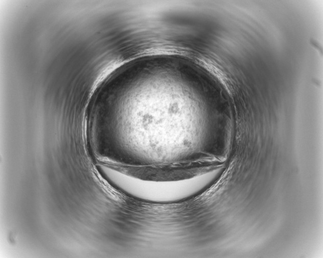 X0000093421179200711021009