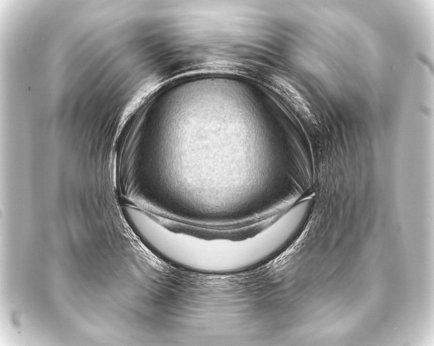 X0000093421180200711021009