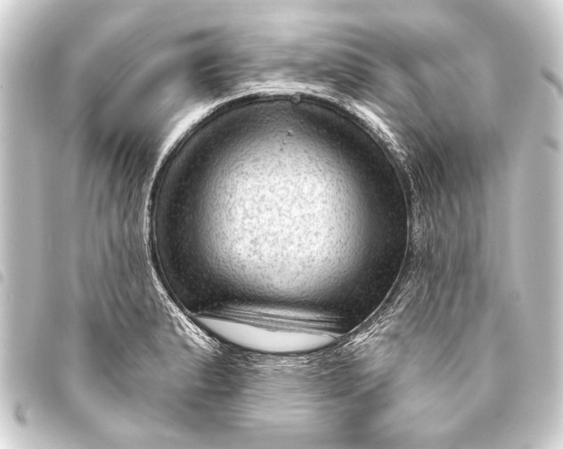 X0000093421183200711021009