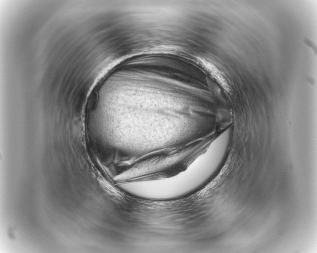 X0000093421184200711021009