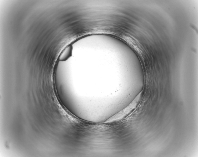 X0000093421189200711021009