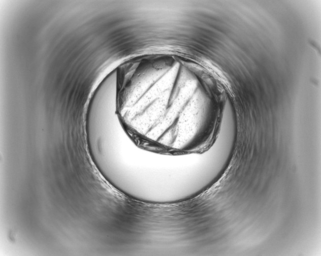 X0000093421192200711021009