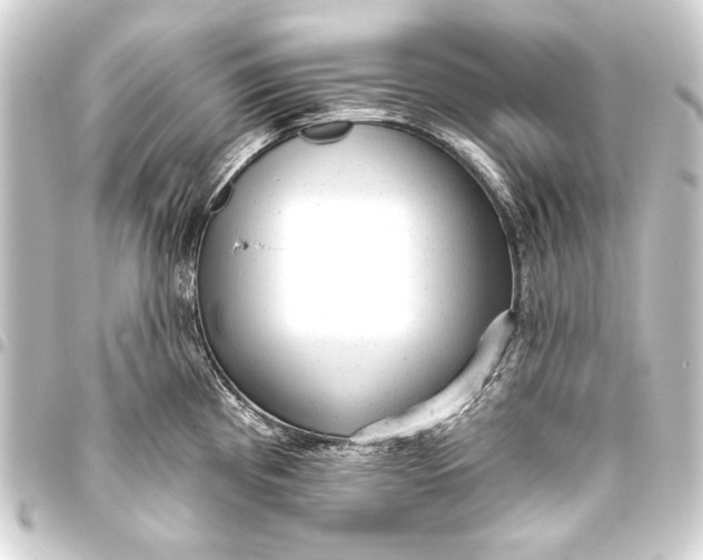 X0000093421193200711021009