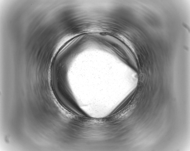 X0000093421195200711021009