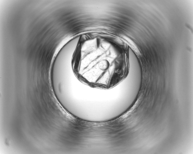 X0000093421196200711021009