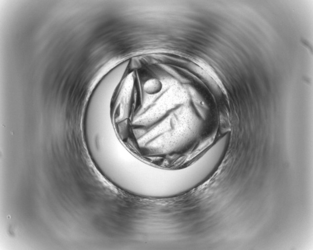 X0000093421197200711021009