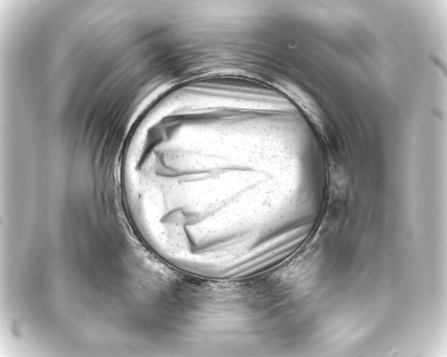 X0000093421198200711021009