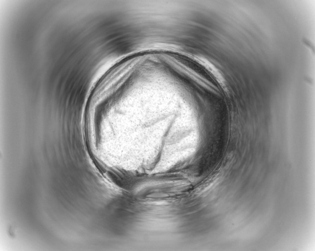 X0000093421199200711021008