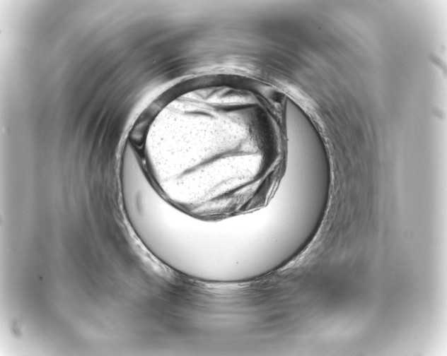 X0000093421200200711021008