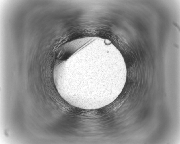 X0000093421201200711021008