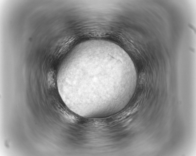 X0000093421202200711021008