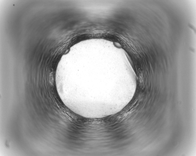 X0000093421204200711021008