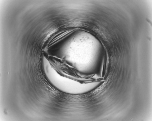 X0000093421210200711021008