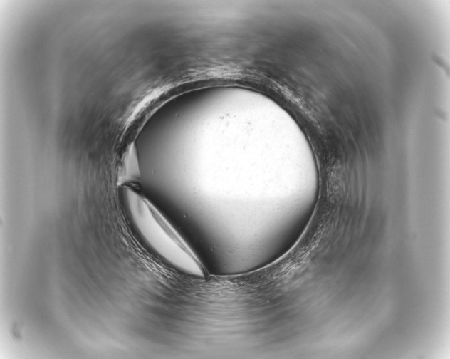 X0000093421214200711021008