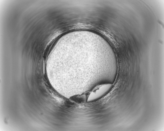 X0000093421219200711021008