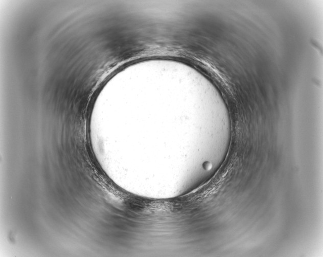 X0000093421220200711021008