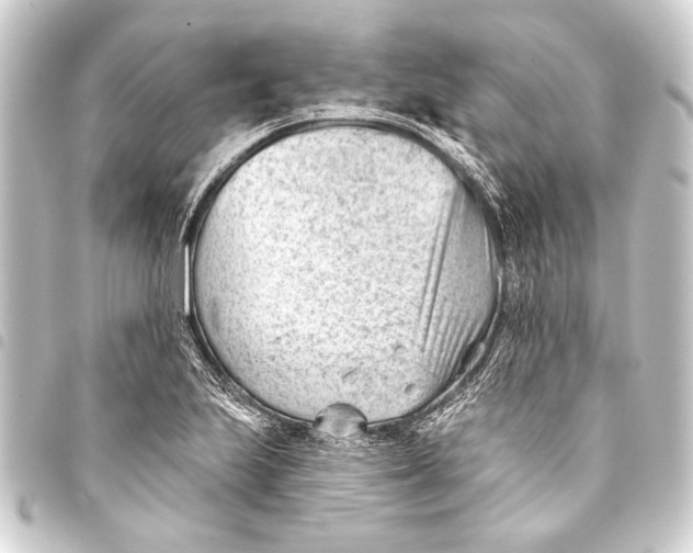 X0000093421223200711021008