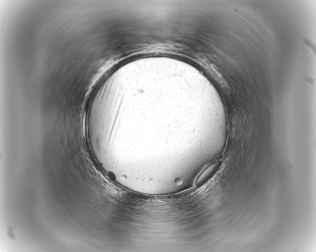 X0000093421224200711021008