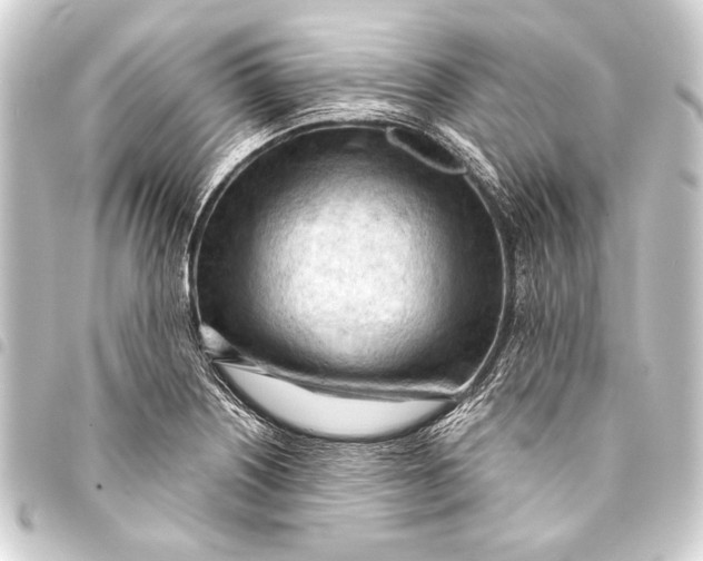 X0000093421226200711021008