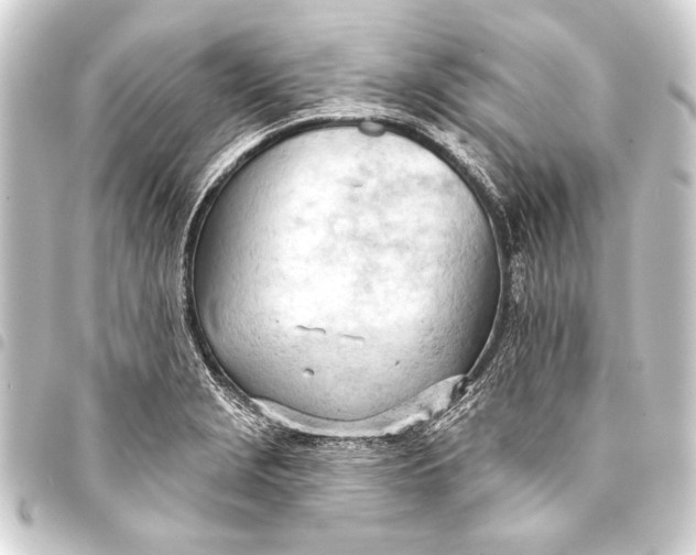 X0000093421229200711021008