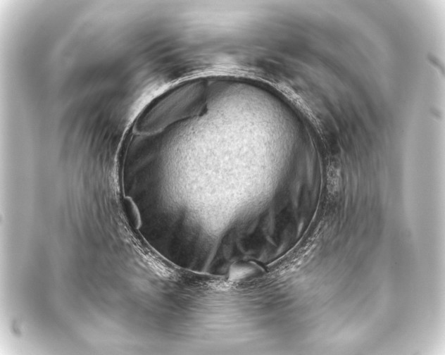 X0000093421230200711021008