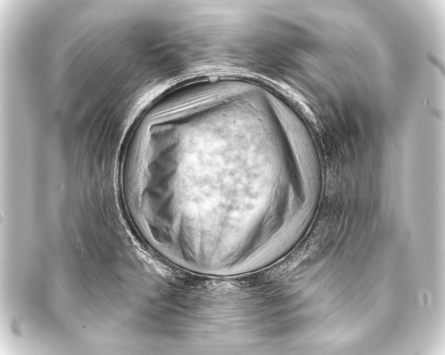 X0000093421231200711021008