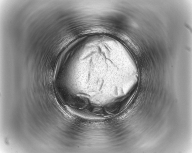 X0000093421233200711021008