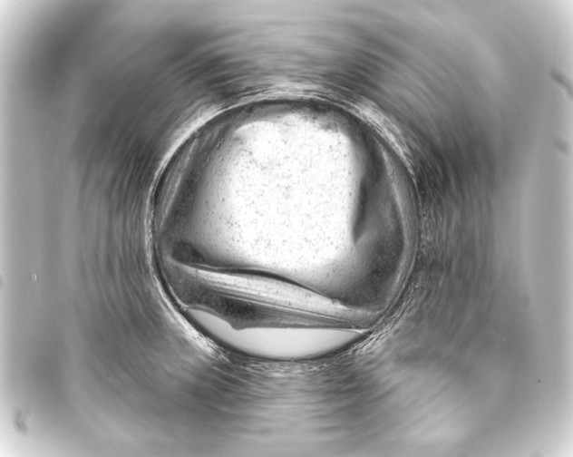 X0000093421235200711021008