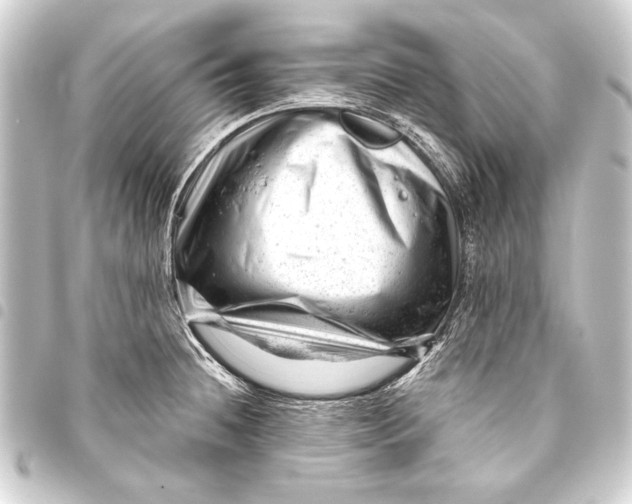 X0000093421236200711021008