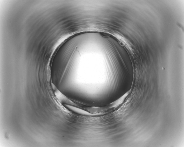 X0000093421238200711021008